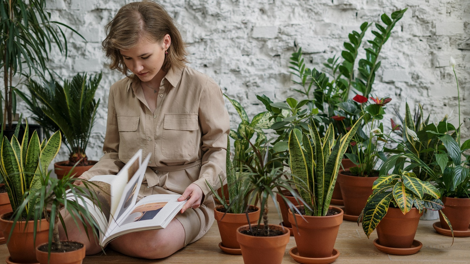 Indoor Gardening Hacks