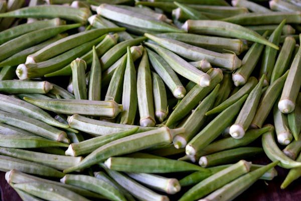 How to Start Okra Farming in Ghana